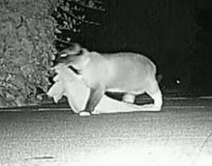 �� ������ ���� ������